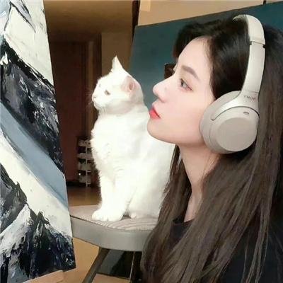 被炉、蜜桔和小猫